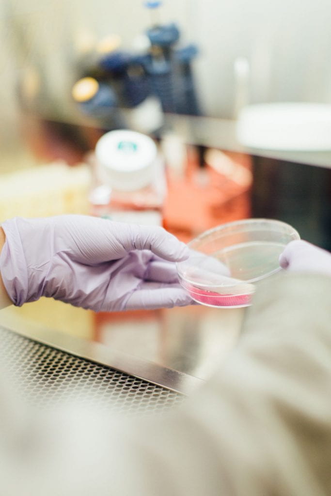 petri dish held by rubber gloves